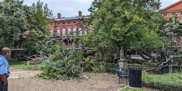 Family files suit against City of New Orleans after Jackson Square tree crushes teen boy